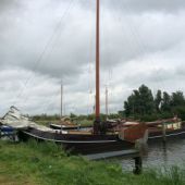 ingezonden door Alina van Putten - Verlengd gespot bij het Lauwersmeer, 2016