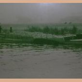 ingezonden door Klaas Betten - Het vrachtschip van Auke Landmeter nabij Aduard, beladen met suikerbieten, 1958